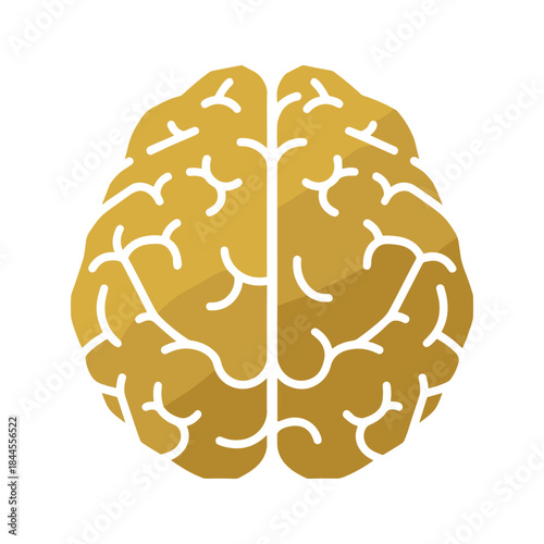 Human brain illustration with white lines on yellow background