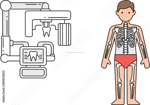 Detailed dental X-ray machine illustration with human skeleton anatomy diagram, medical diagnostic equipment concept, healthcare technology design for education and professional use