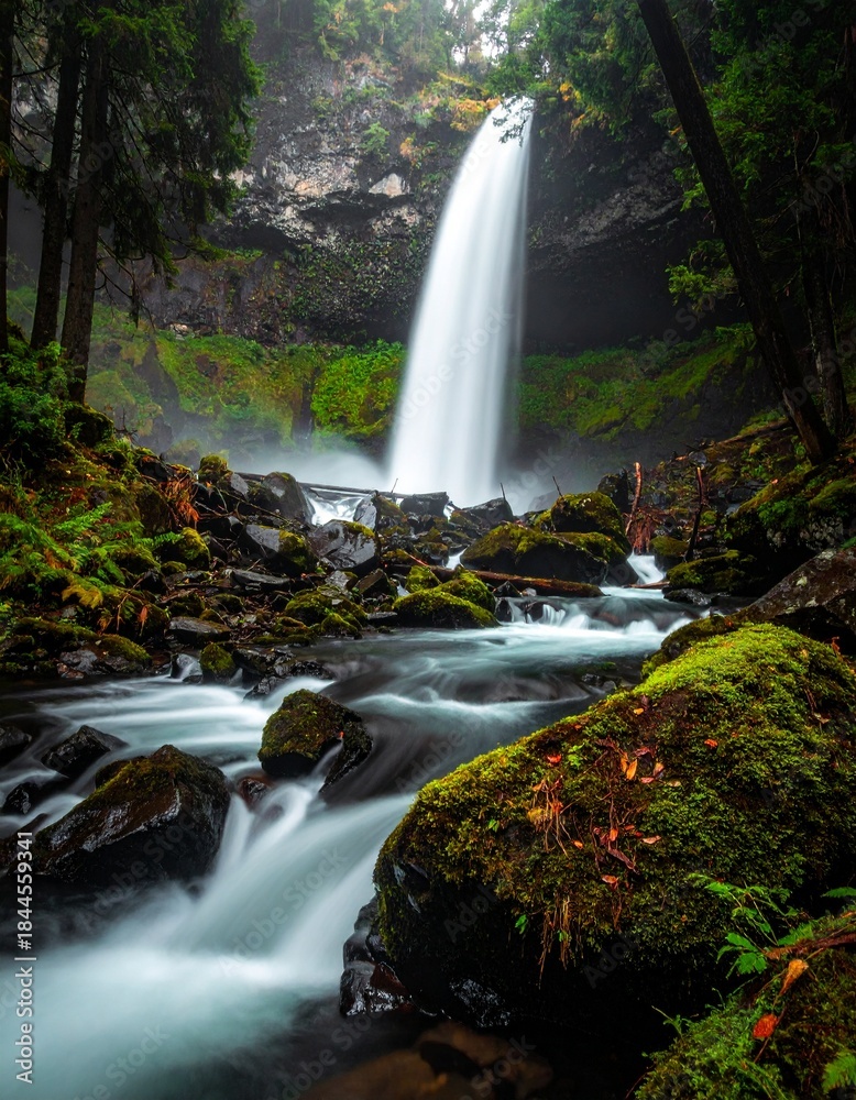 Obraz premium Majestic waterfall cascading into a rocky stream surrounded by lush greenery