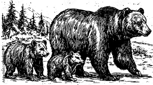 Bear family in vintage outline style. Detailed black and white vector illustration depicting a mother bear with her cubs in a natural setting.