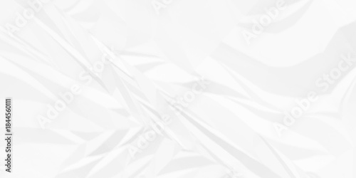 Creased paper page detail wrinkle blank white canvas rough blank design. old paper crumple texture wrinkle parchment empty letter texture.