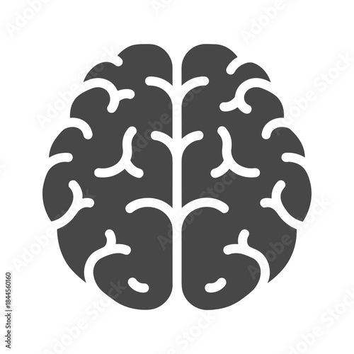 Human brain illustration