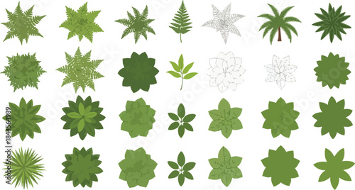 Set of detailed vector illustrations featuring various green trees and plants in top view, designed for architectural plans, landscape design, and mapping projects
