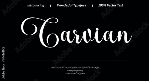 Artistic handwritten script with soft rhythm and elegant flow, designed for creative branding, packaging, and expressive typography layouts.