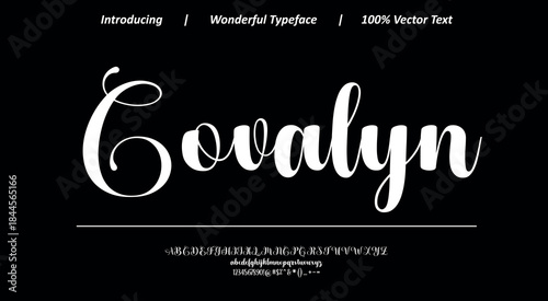 Charming calligraphic font 15 with graceful curves and smooth strokes, perfect for wedding stationery, boutique branding, and decorative text use.
