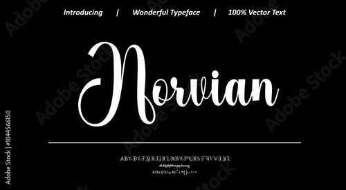 Modern calligraphy font 32 featuring graceful movement and balanced letterforms, perfect for premium branding, fashion design, and stylish visual identities.