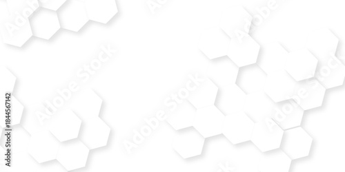 Abstract white grid presentation surface mosaic and tiles minimal tech bee website science element grid overlay white hexagon futuristic technology geometric texture background.