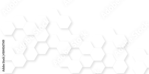 Abstract white grid presentation surface mosaic and tiles minimal tech bee website science element grid overlay white hexagon futuristic technology geometric texture background.