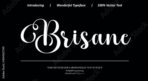 Charming calligraphic font 10 with graceful curves and smooth strokes, perfect for wedding stationery, boutique branding, and decorative text use.