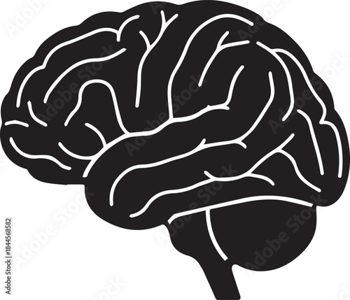 Anatomically accurate lateral view of the human brain, detailed cortical black and white vector illustration