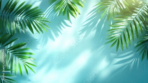 Lush green palm leaves framing a tranquil aqua background nature art tropical environment aesthetic viewpoint calm concept for relaxation