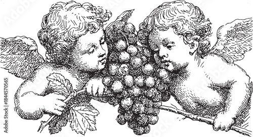 Angels holding grapes in a whimsical vintage illustration. Charming details create a classic vector set capturing the essence of nature and folklore.