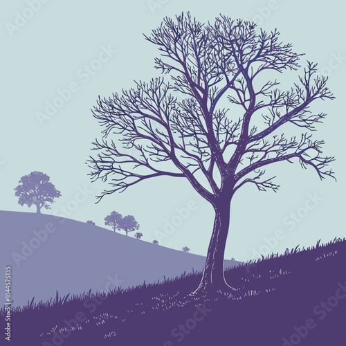 A solitary bare tree with intricate branches stands tall on a grassy hill under a pale sky with smaller trees in the distance