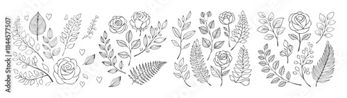 Monochromatic black line art drawing set of floral and nature vector illustration elements.