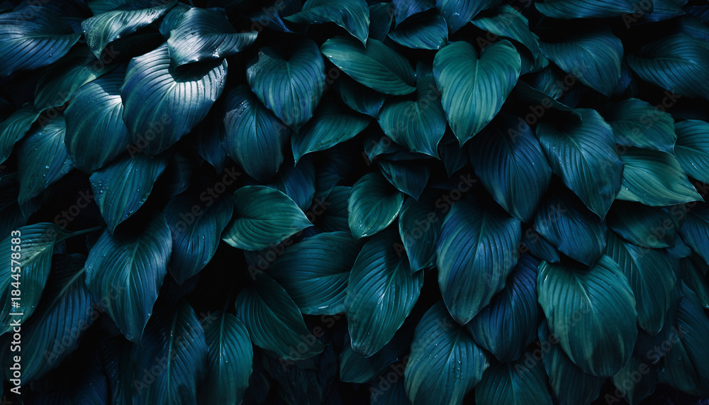 custom made wallpaper toronto digitalDeep Teal Leaves Background with Dramatic Lighting - Lush Foliage Texture