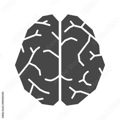 Human brain illustration with visible sulci and gyri