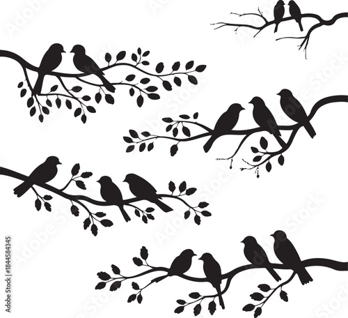 Vector set of birds at tree branches silhouettes