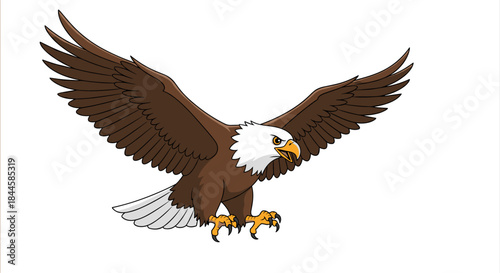 Bald Eagle with Wings Spread Wide in Flight.