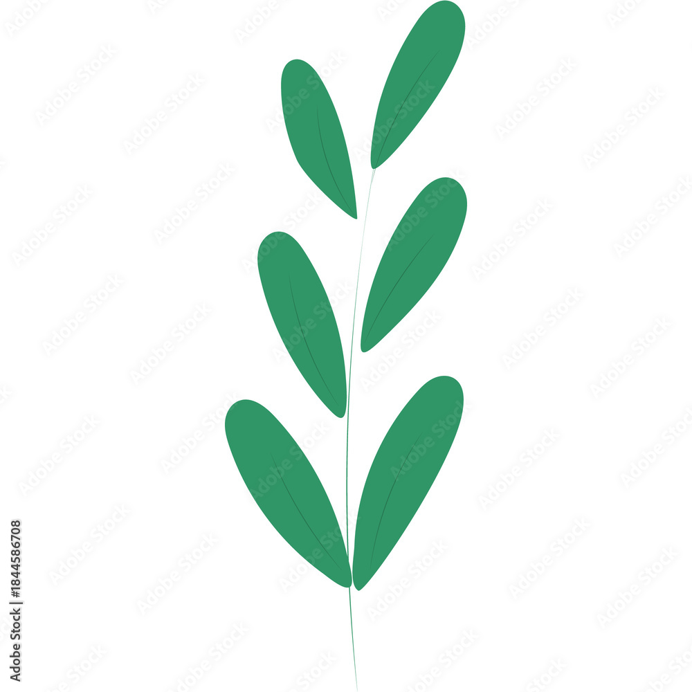 Naklejka premium Minimal green leaf branch illustration for Christmas and winter decoration themes, perfect for natural festive designs.