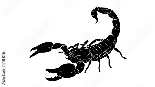 Minimalist Silhouette of a Black Scorpion on a White Background Graphic Illustration