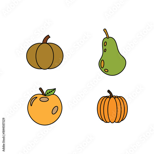 autumn fruits and pumpkins vector illustration.
