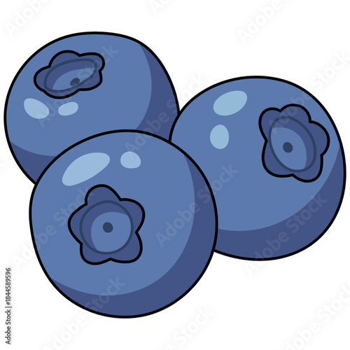 Illustration of Three Blueberries