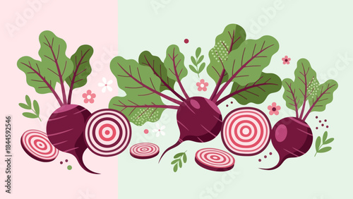 Vibrant Illustrations of Beetroot with Green Leaves and Artistic Slices