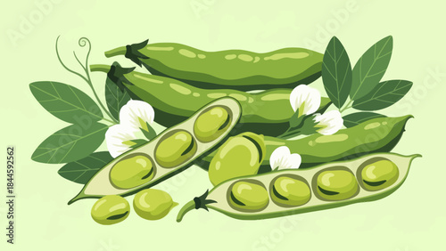 Fresh green pea pods with blossoms and lush leaves in a vibrant illustration