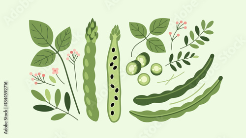 Illustration of Fresh Green Vegetables and Herbs with Detailed Leafy Accents