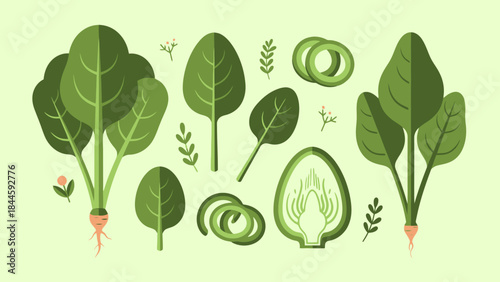 Creative Illustration of Leafy Vegetables and Roots Arranged for Artistic
