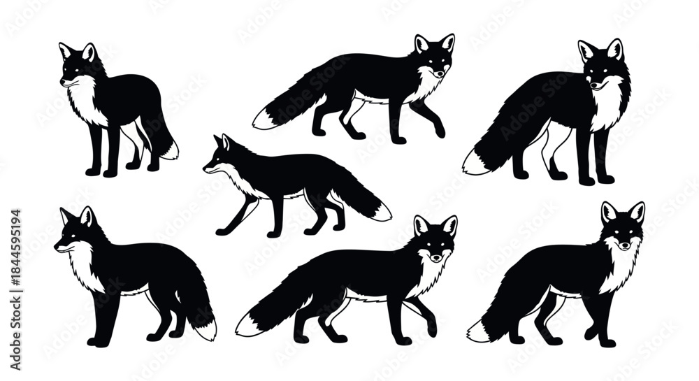 Obraz premium Collection of Black and White Foxes in Various Poses, Isolated on a White Background