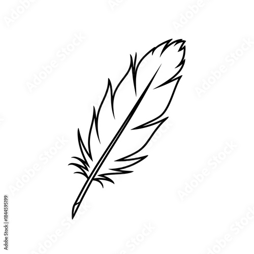 Elegant Black Outline Feather Drawing. Minimalist Line Art Illustration of a Single Bird Feather on a White Background.