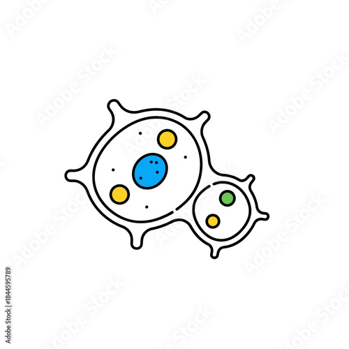Scientific illustration of microscopic cellular organisms with nucleus. Biology, microbiology, and cell structure concept.