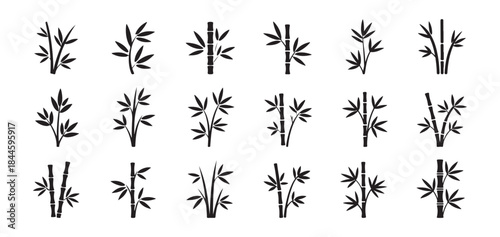 Set of bamboo tree design elements, bamboo plant leaves and branches vector illustration on white background