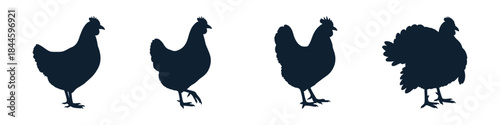 A versatile collection of stylized poultry silhouettes, showcasing various chicken forms and a prominent turkey, ideal for farm, food, or agricultural branding and design