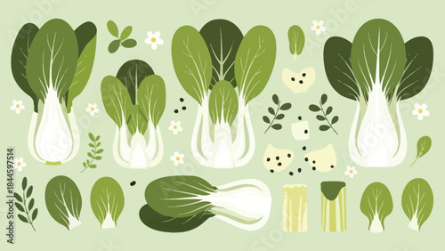 assorted fresh green leafy vegetables and herbs for healthy cooking