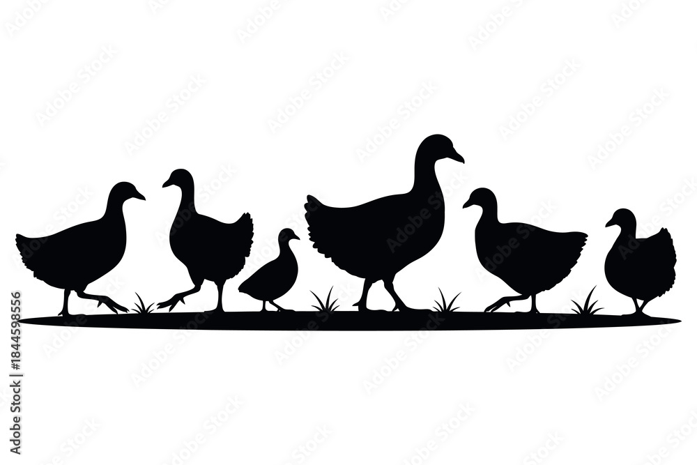 Fototapeta premium Classic black silhouette illustration of a diverse group of domestic fowl, including ducks, chickens, and chicks, walking across a grassy line, perfect for farm-themed designs