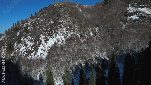 Aerial view of a sun-drenched mountain slope covered in snow, bare deciduous trees and green pine forests under a clear blue sky