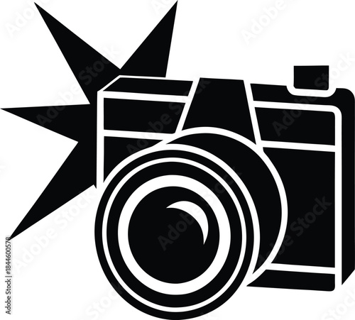Camera icon with flash silhouette vector illustration