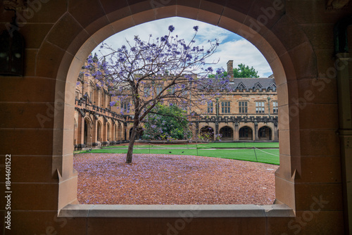 The University of Sydney Quadrangle