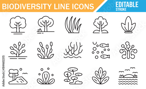 Nature elements and landscape outline graphics.