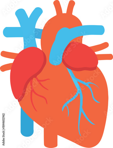 human heart vector design icon