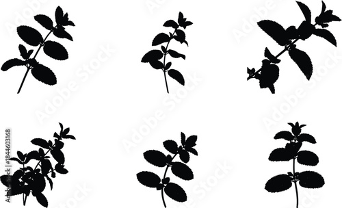 Collection of botanical silhouettes featuring various plant species and a butterfly