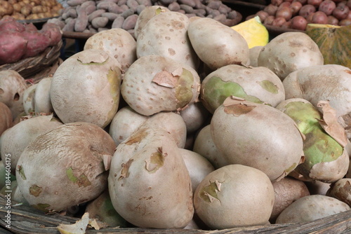 Dioscorea bulbifera on shop for sell