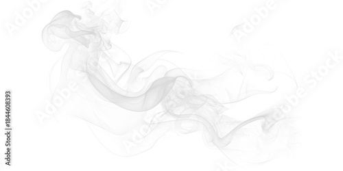Obraz na plátně Abstract ethereal white smoke wisps gracefully swirling on dramatic black backgr
