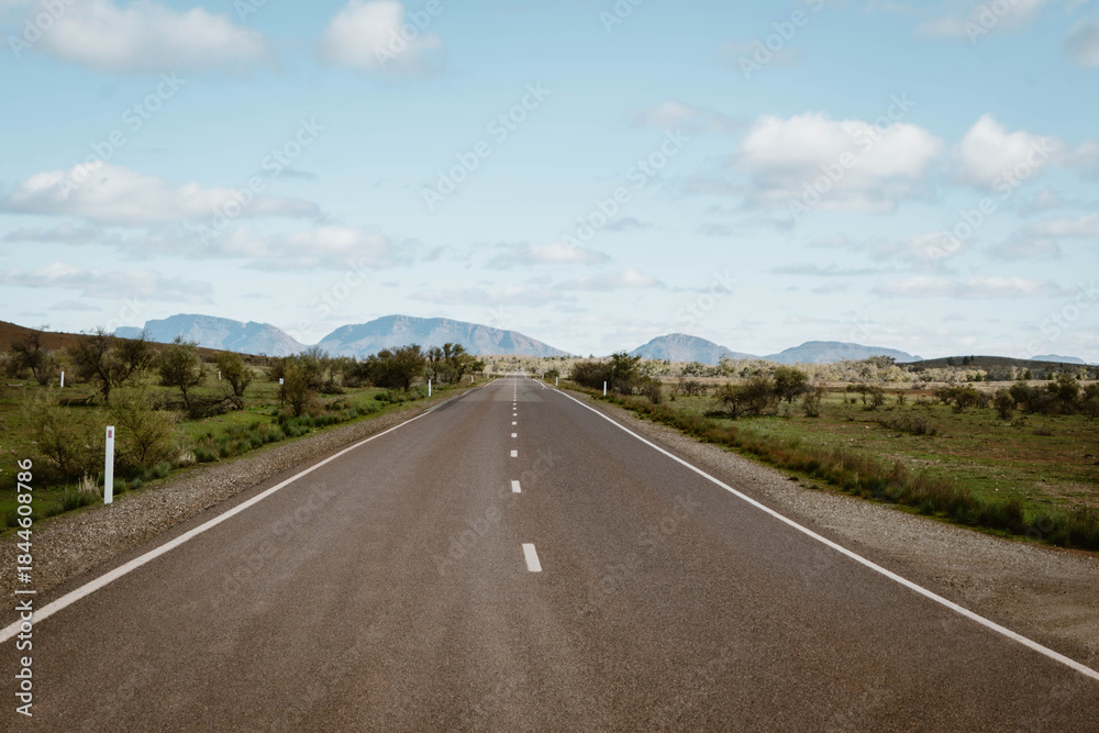 Fototapeta premium A beautiful mountain landscape with an empty asphalt road outdoor at daytime during springtime season during a road trip in Flinders Ranges in the outback of Australia with space for text.