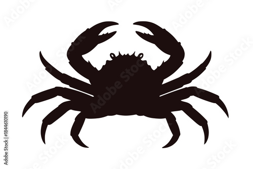 red king crab isolated on white