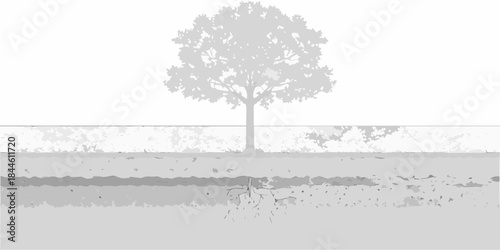 A solitary tree stands above a textured ground and distant horizon