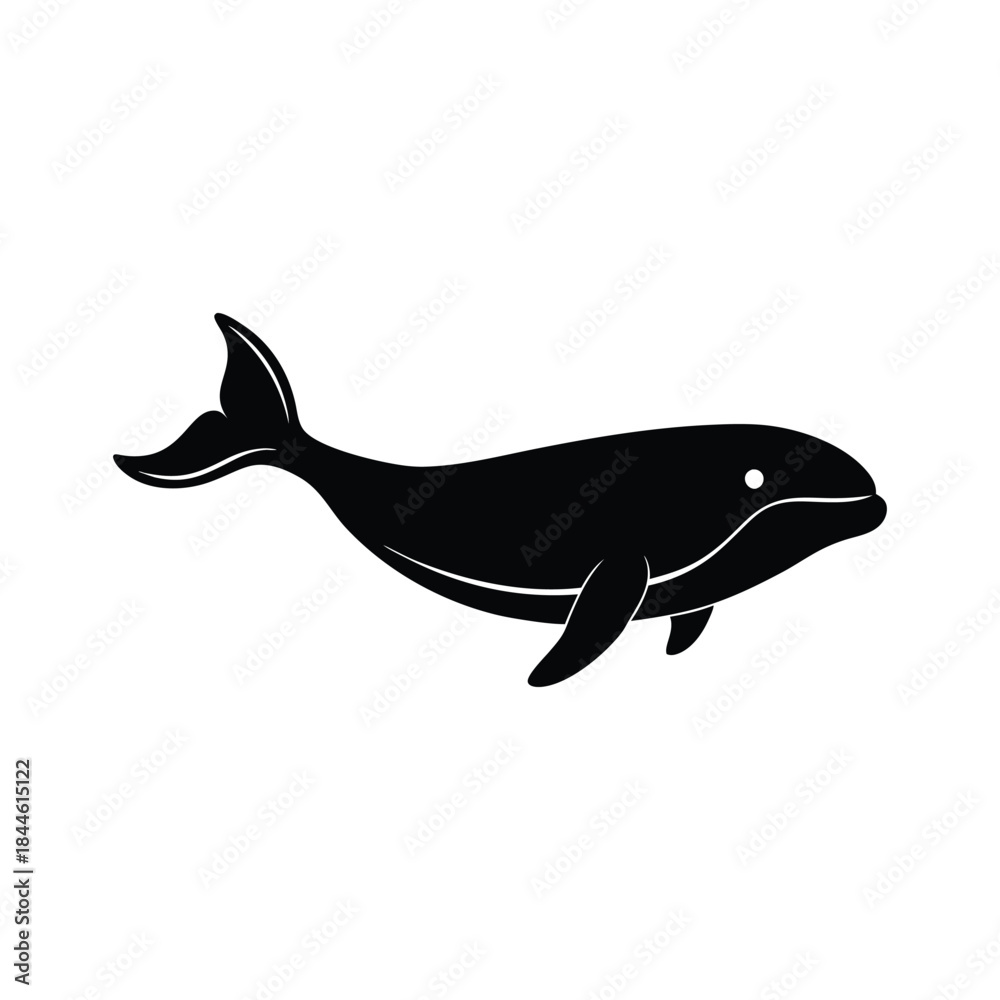 Obraz premium fish isolated on white background