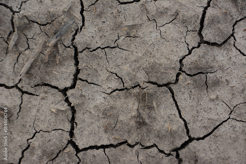 Cuadro en lienzo Cracked Earth Texture Showing Drought Conditions